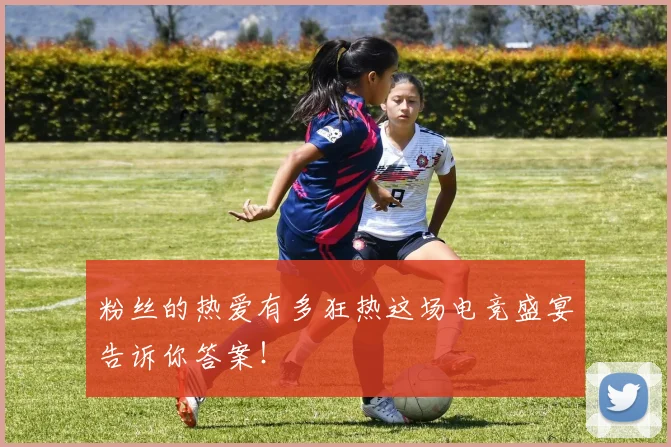 粉丝的热爱有多狂热这场电竞盛宴告诉你答案！