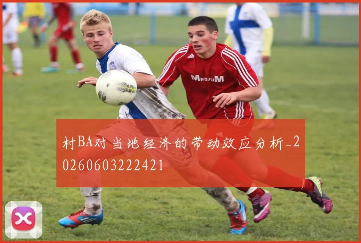 村BA对当地经济的带动效应分析_20260603222421