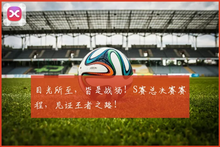 目光所至，皆是战场！S赛总决赛赛程，见证王者之路！